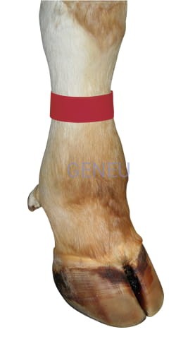 Opaski identyfikacyjne dla bydła op.10szt. czerwona