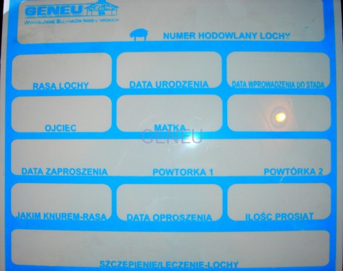 Tablica stanowiskowa dla trzody chlewnej