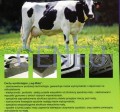 Mata legowiskowa dla bydła 180cm x120 cm 28 mm wys.